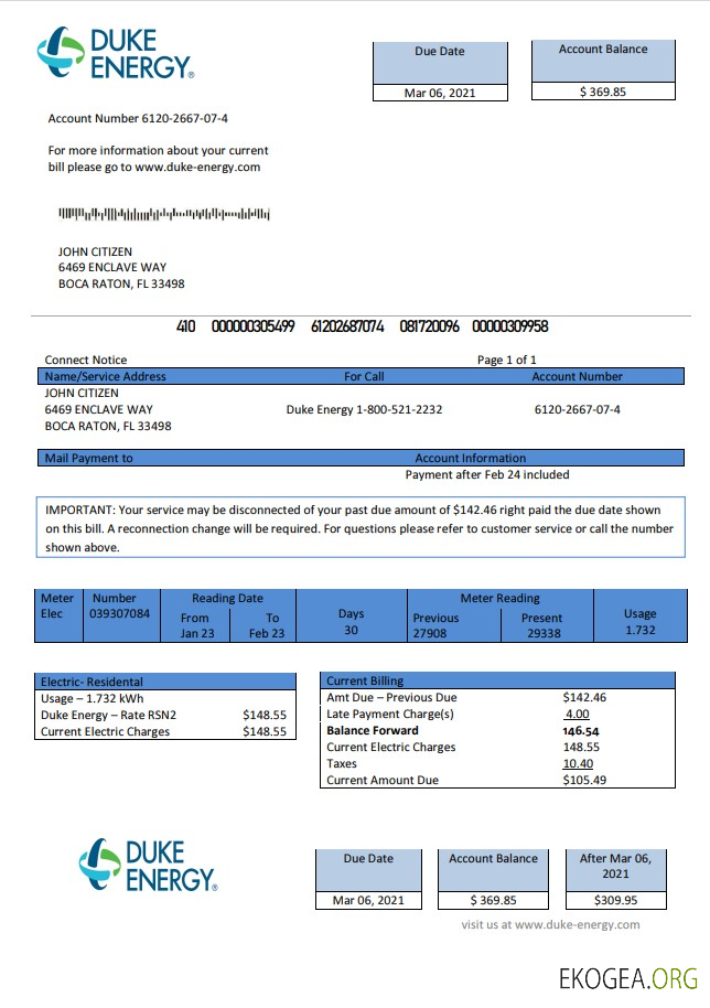 USA North Carolina Duke Energy utility bill template in Word and PDF format